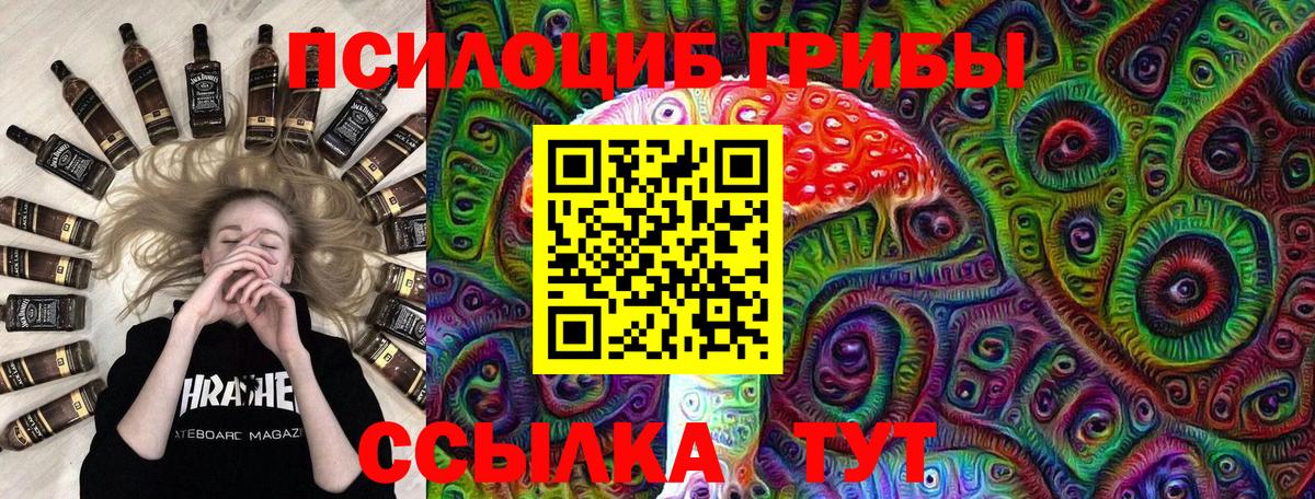 Псилоцибиновые грибы прущие грибы Кисловодск