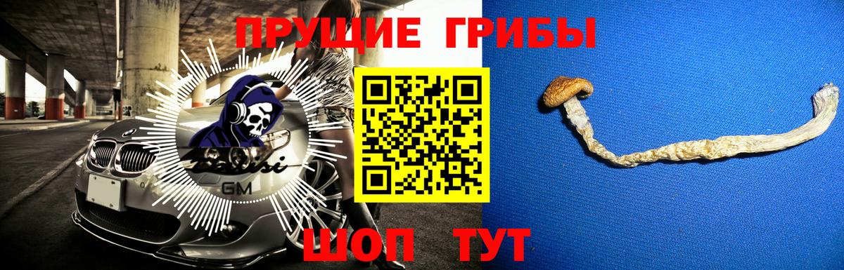 Галлюциногенные грибы Magic Shrooms  Вход с VPN  Кисловодск 