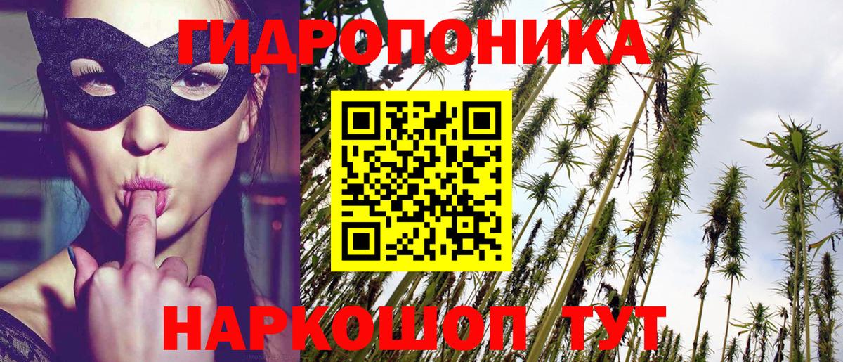 Каннабис SATIVA & INDICA Кисловодск